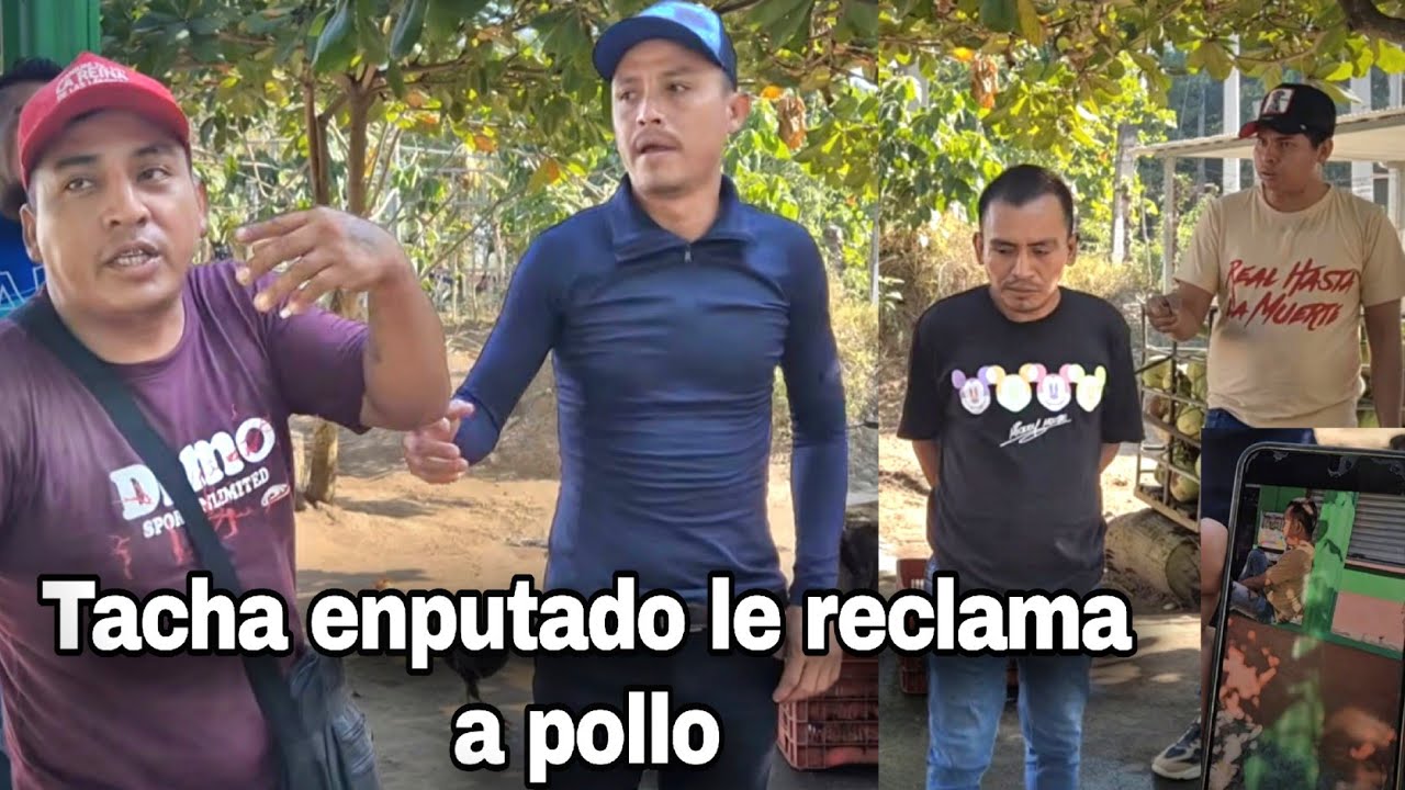 tacha pasa informacion de Wilder//pollo  enfrenta con tacha