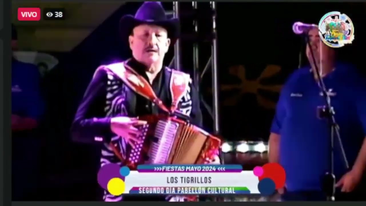 Los Tigrillos