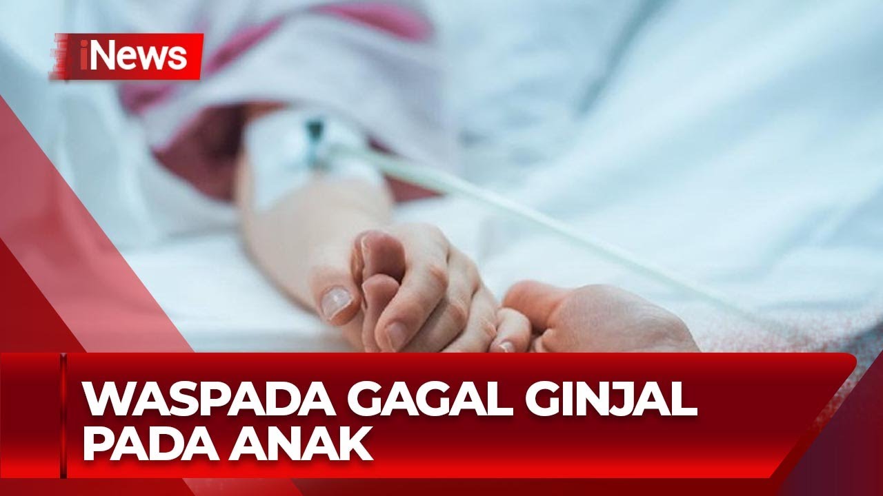 Waspada, Kasus Gagal Ginjal Akut pada Anak di Indonesia Meningkat - iNews Pagi 26/07
