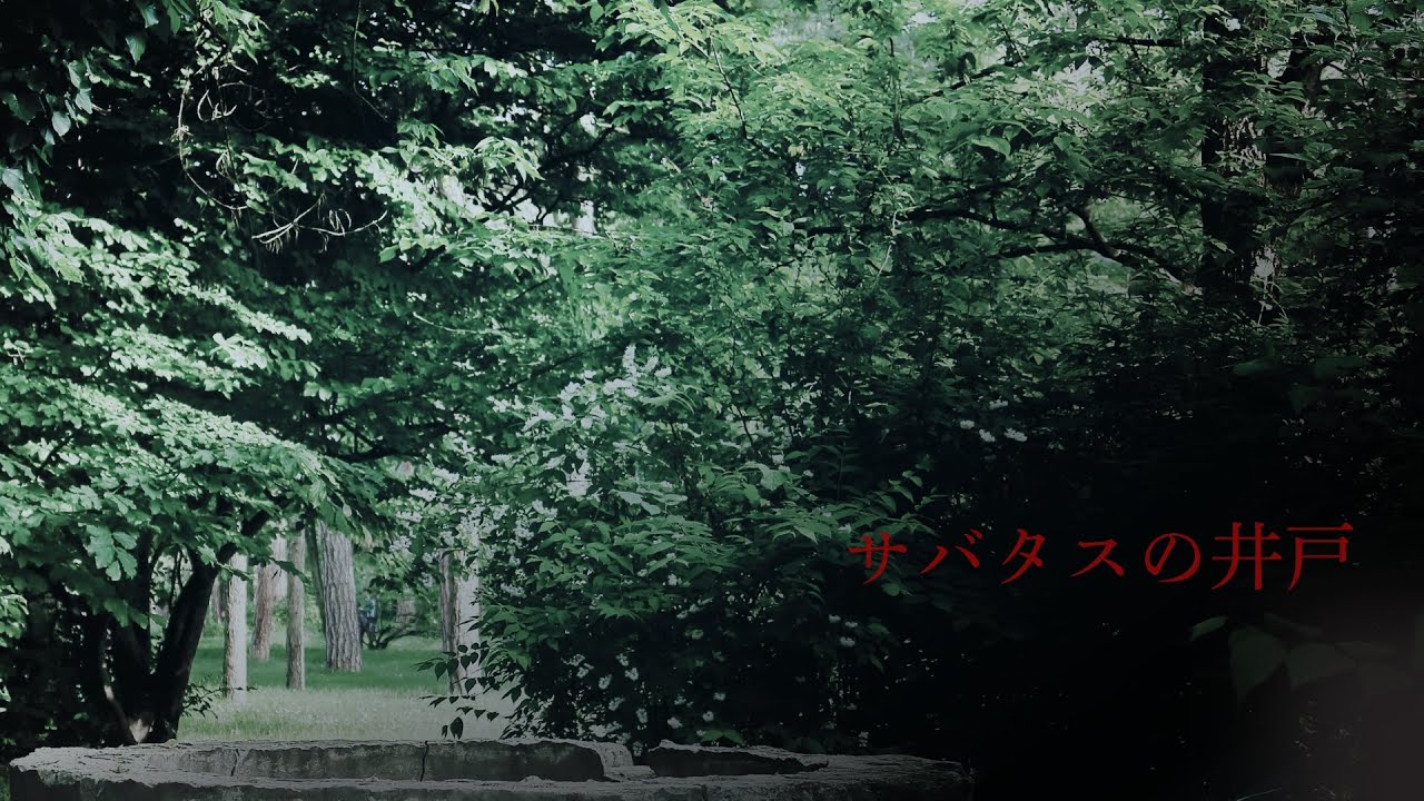 サバタスの井戸｜The Sabattus Well｜底を見たあと