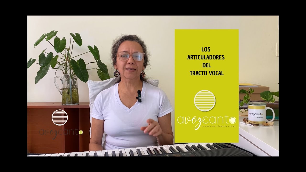 Los ARTICULADORES del tracto vocal #articuladores #tractovocal