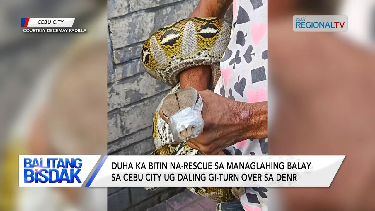 2 Bitin Na-Rescue sa Managlahing Balay sa Cebu City | Balitang Bisdak