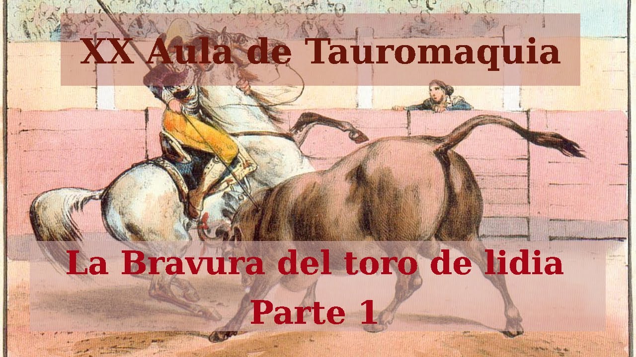 La bravura del toro de lidia. Parte 1 | XX Aula de Tauromaquia