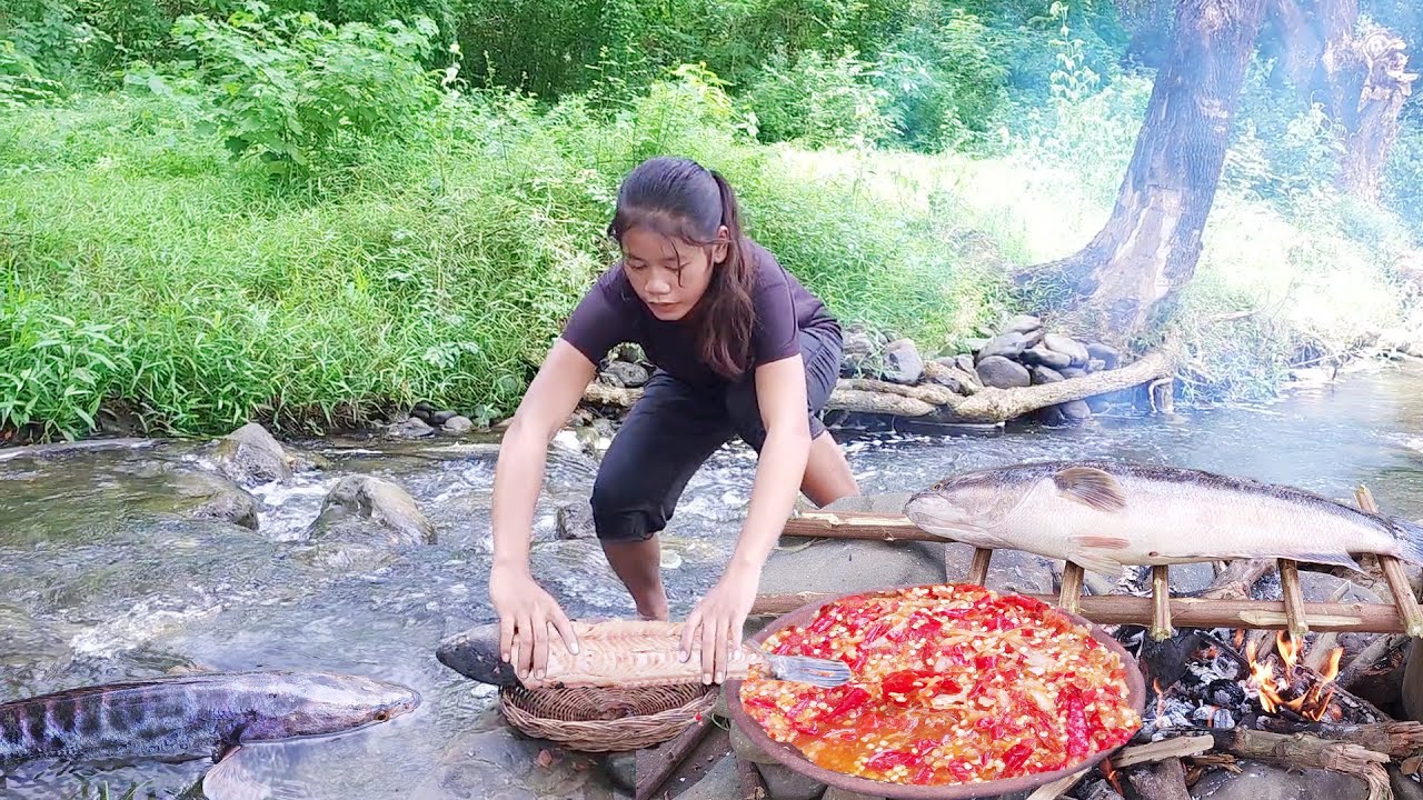 Adventure in forest: Found and catch a big fish in river to grilled with chili sauce for dinner
