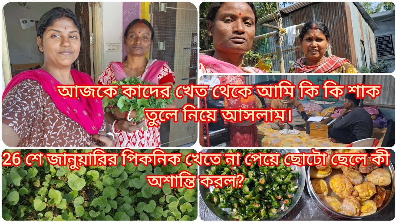 আজকে কাদের খেত থেকে আমি কি কি শাক তুলে নিয়ে আসলাম।  26 শে জানুয়ারির পিকনিকে কে অশান্তি করল?😭😭