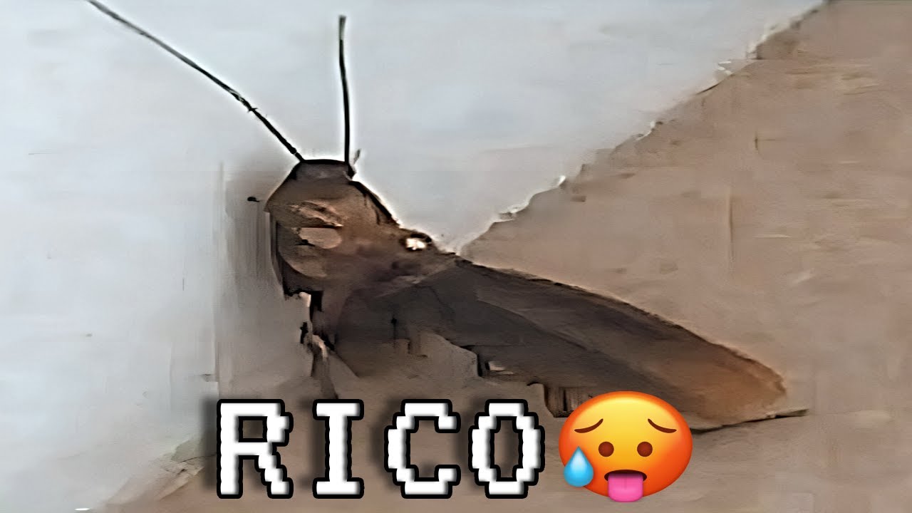 Posting Compilation V198