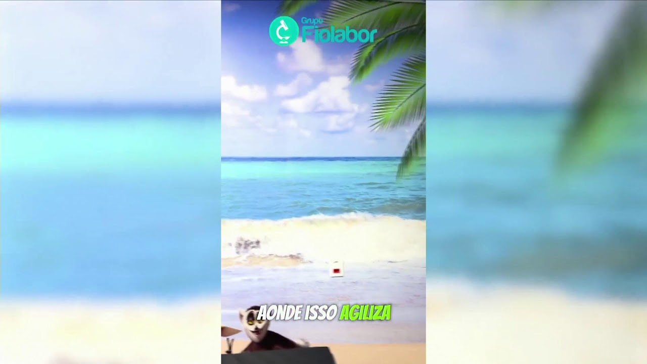 Diário da Informação Live Stream