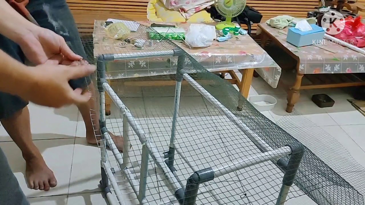 cara membuat sangkar burung dari pipa bekas simpel dan mudah