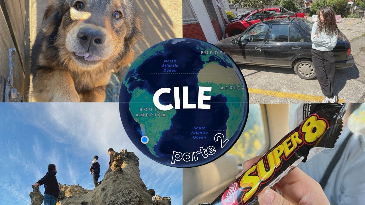 SECONDA SETTIMANA IN CILE | il Sud, tanti animali e Viña del Mar