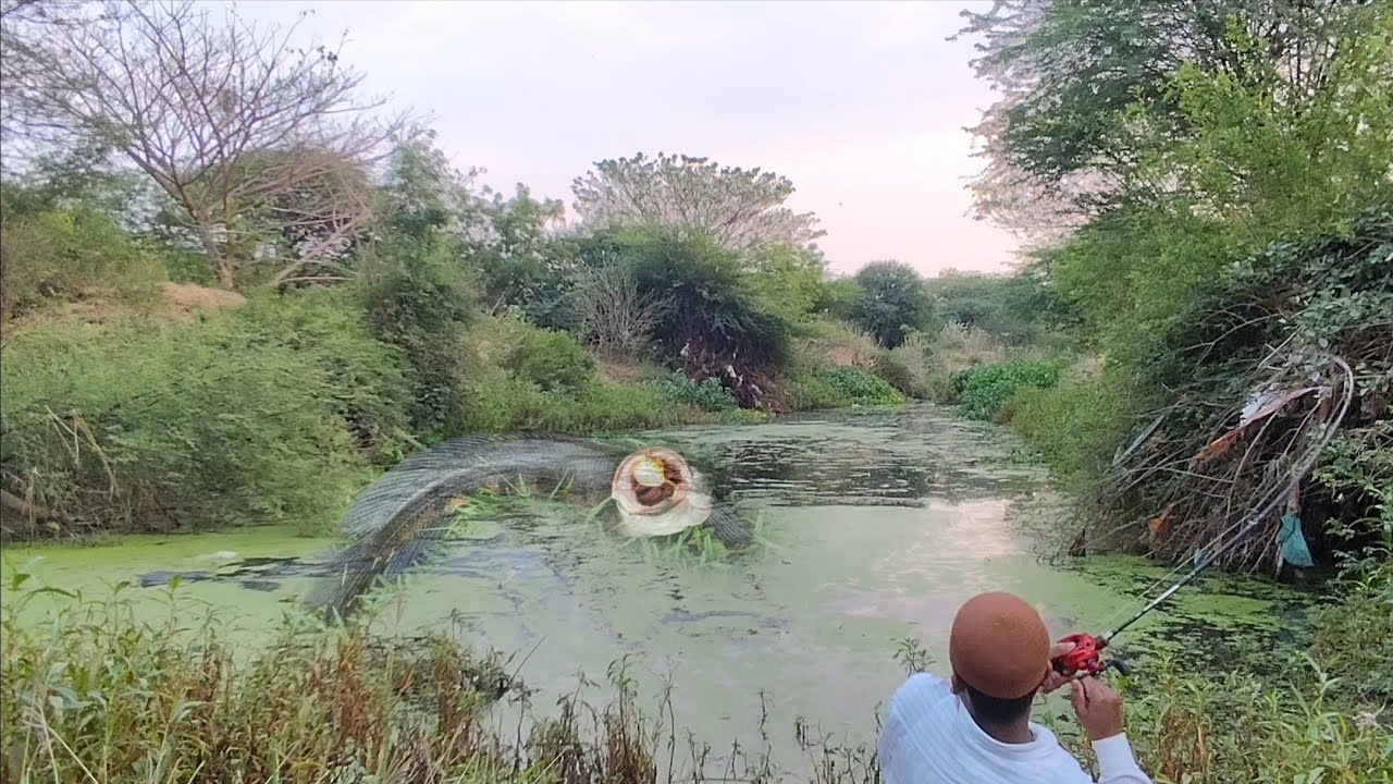 8 मिनट की जबरदस्त फाइट //# Fishing Rod पूरी मुड़ गई | Huge #Maral Fish Catch#   