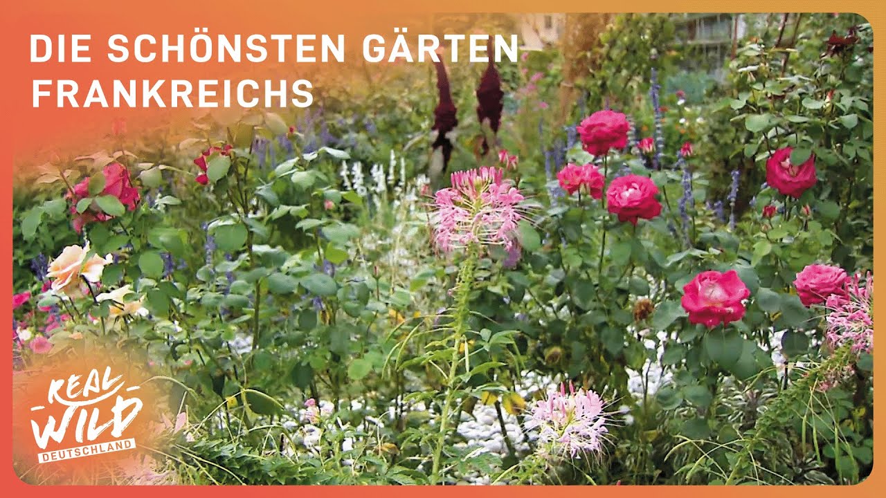 Die schönsten Gärten Frankreichs: Von historischen bis modern