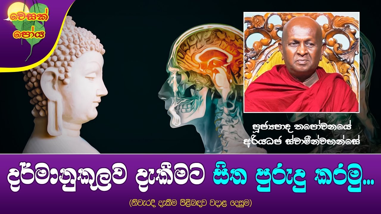Ven Thapowanaye Ariyadaja Thero | 2024-05-23 | 11:30 AM (දර්මානුකූලව දැකීමට සිත පුරුදු කරමු...)