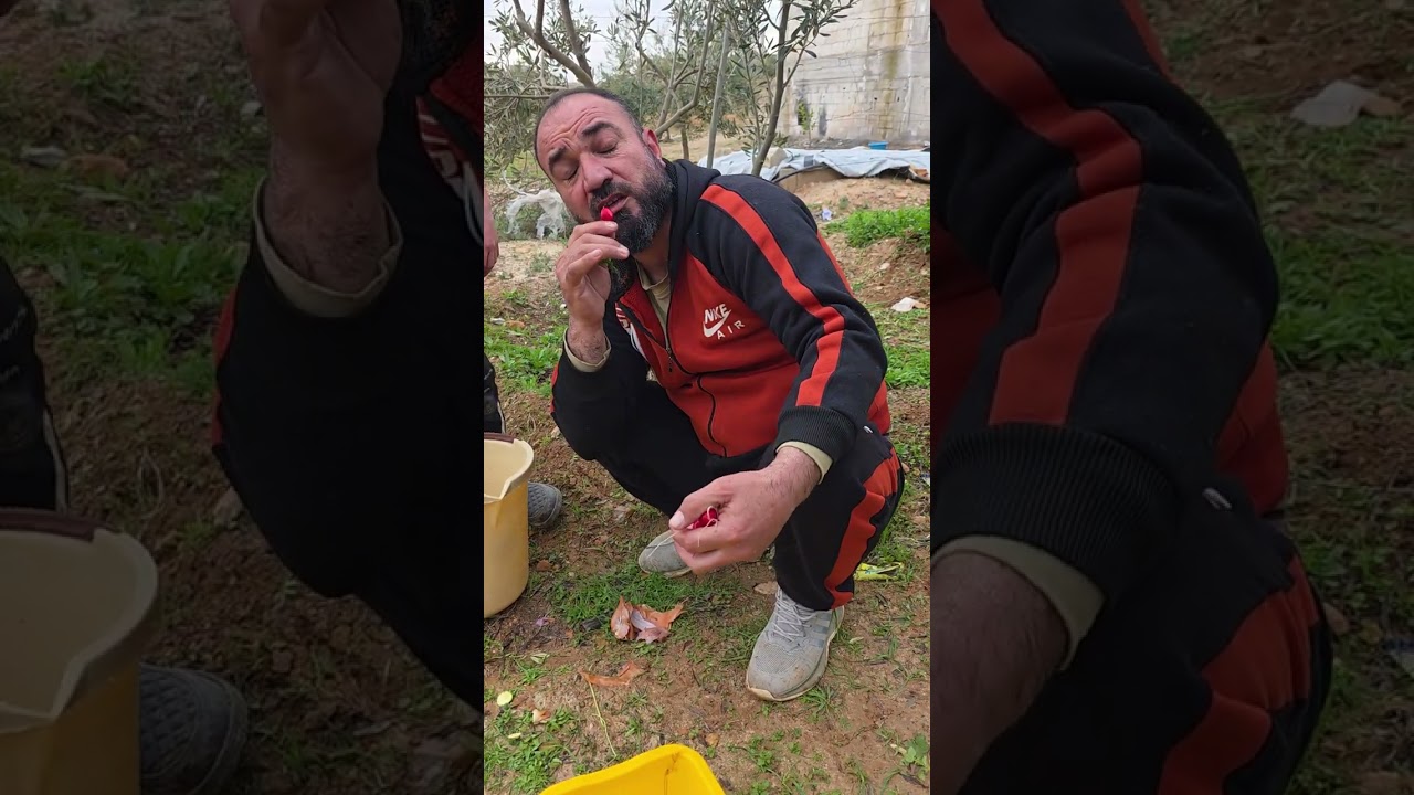 #كوسا_بيض_#food #اكلتك #اكسبلور #الريف_السوري_طبخات ريفية