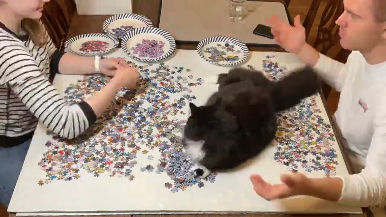 Trefl Disney 9000 Piece Puzzle: Panel E (years 1961-1989)