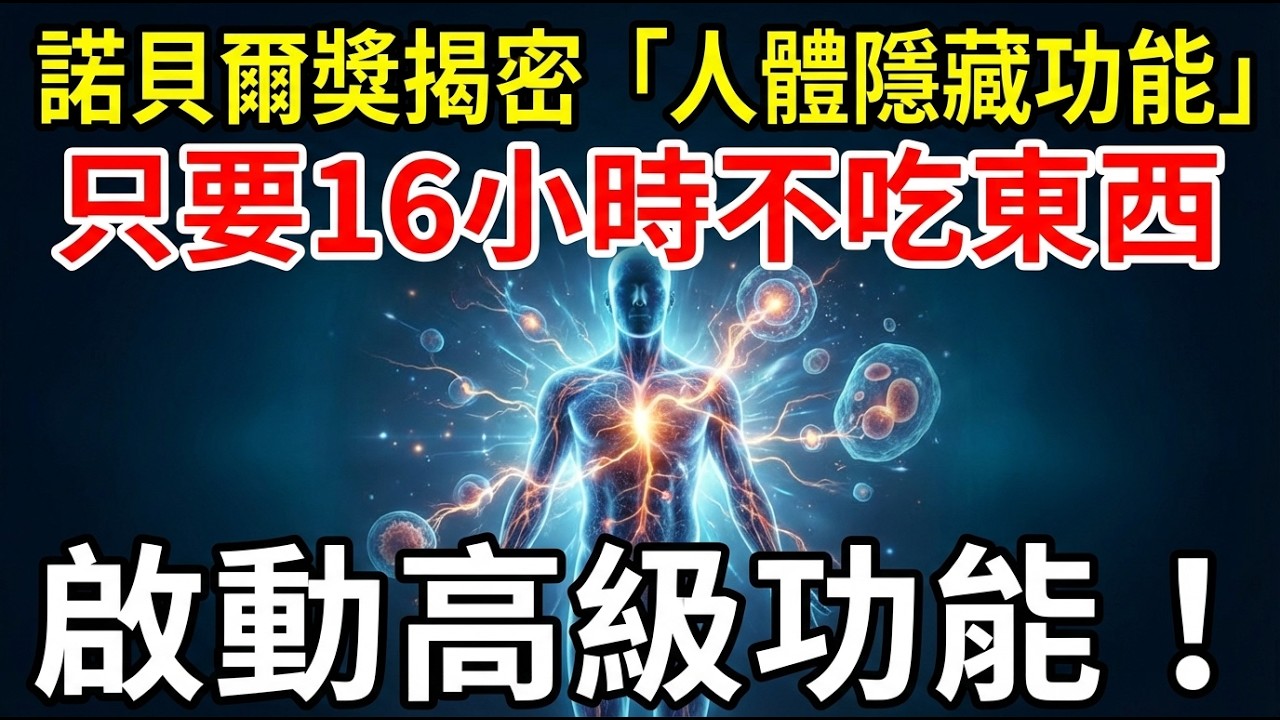 餓16小時就啟動自噬？諾貝爾獎揭密的「隱藏功能」：燃脂、抗炎、護腦、延緩老化