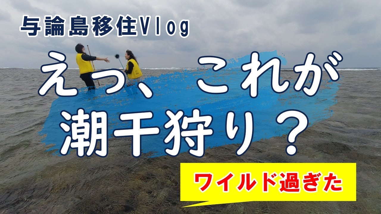 【離島移住Vlog#24】与論島の潮干狩りはワイルド過ぎでした。浜下りの日、悪天候の中、潮干狩りを決行。