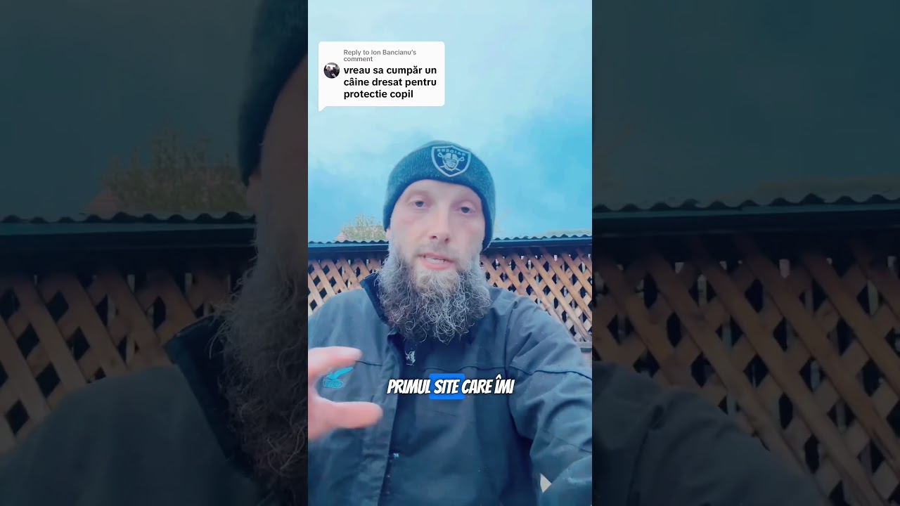 Caine de paza si protectie personala #alinmoldovan #dresajcanin #guarddog #protectiondog