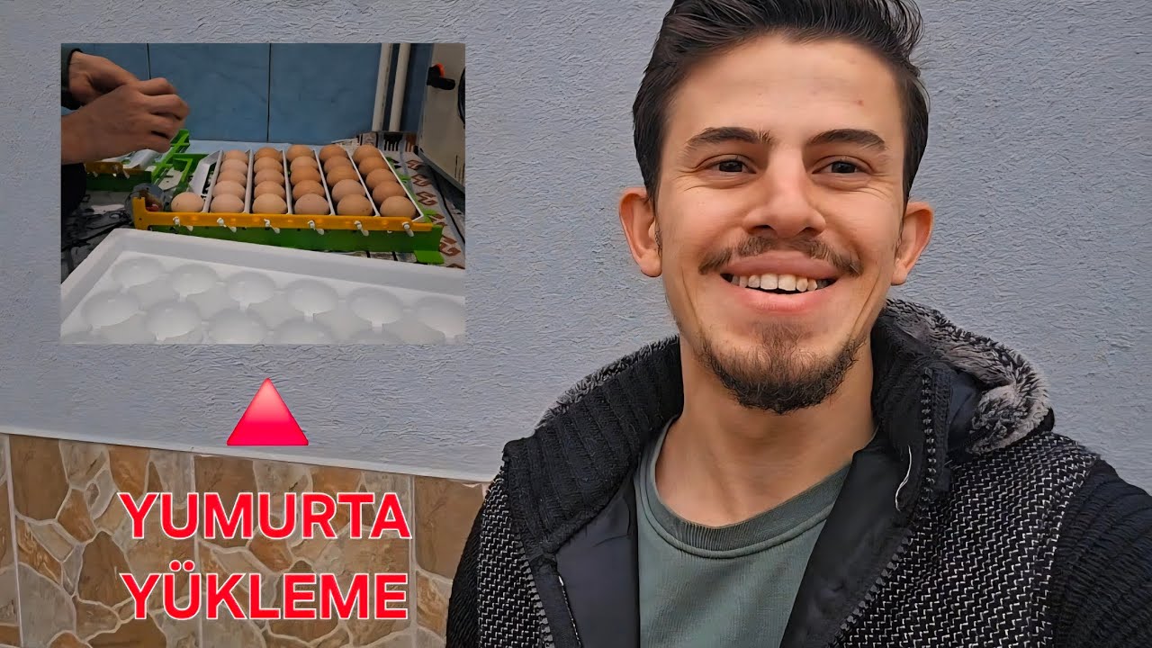 TAVUKLARIMIZIN SON DURUMU!- ÜRETİME BAŞLADIK! 🪺🥚🐓🐔