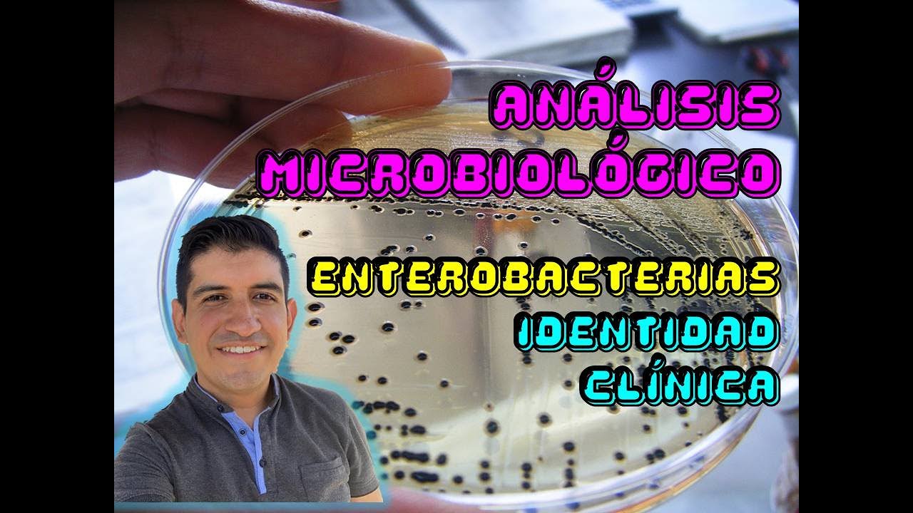 Enterobacterias