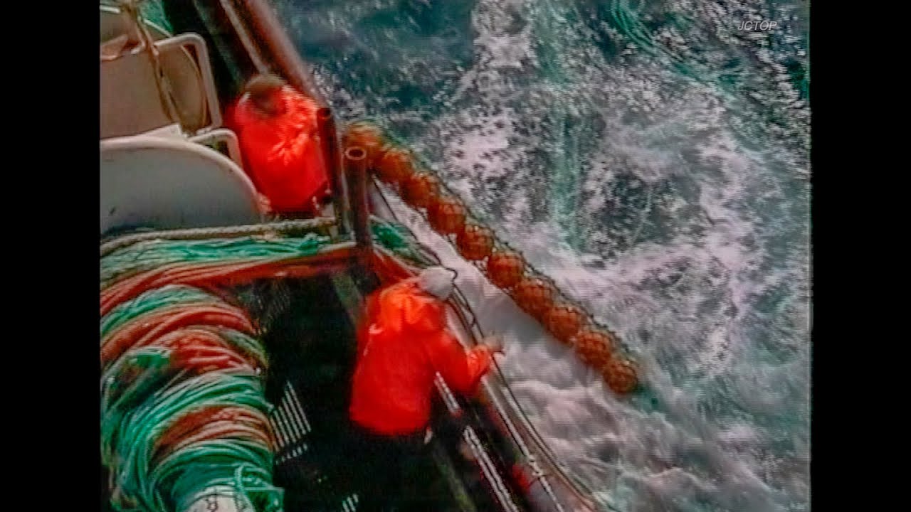 På tobisfiskeri
