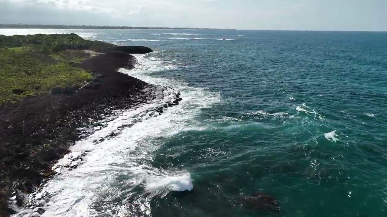 The Sea Rocks
