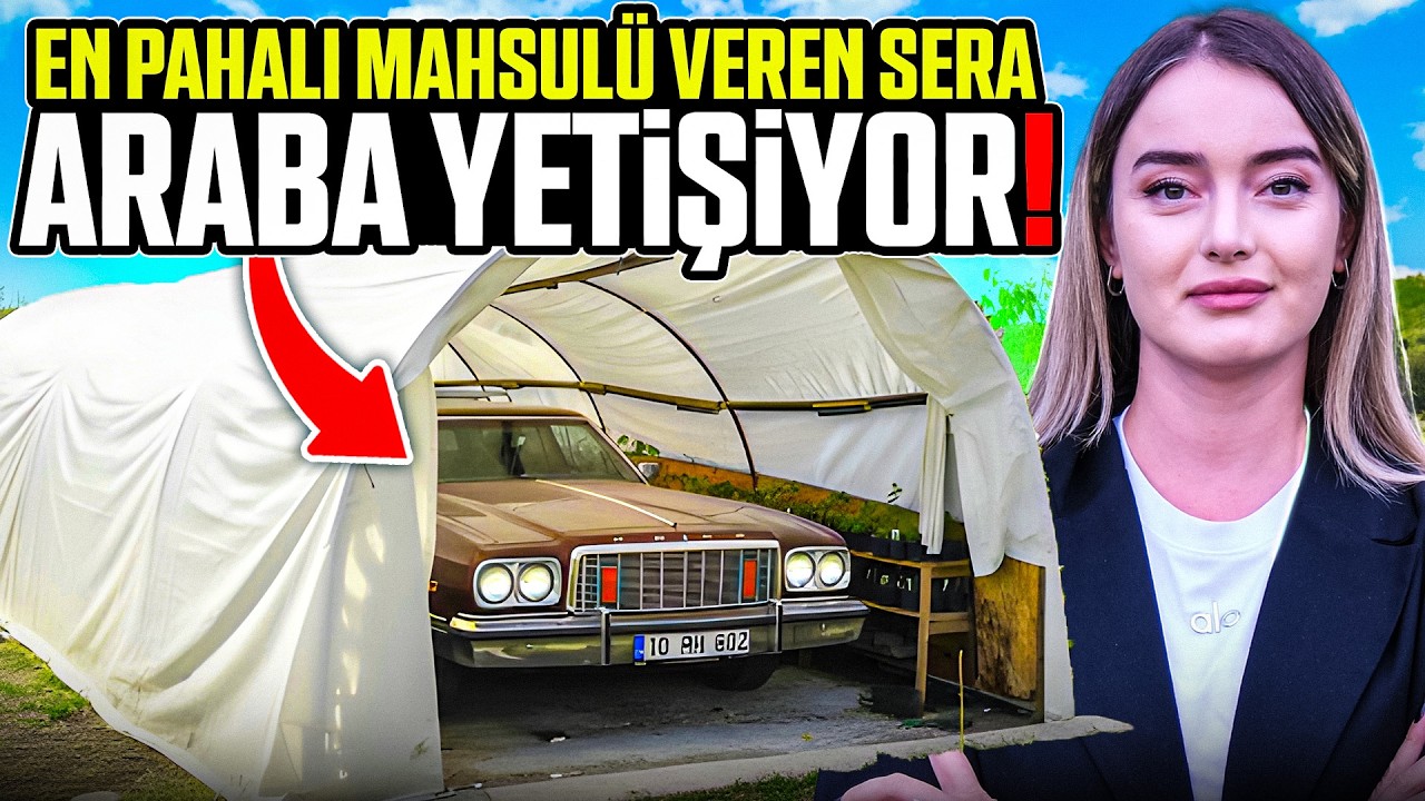 Serada Gizlenen Milyonluk Klasik Araba Garajı! Gören Şaşırıyor