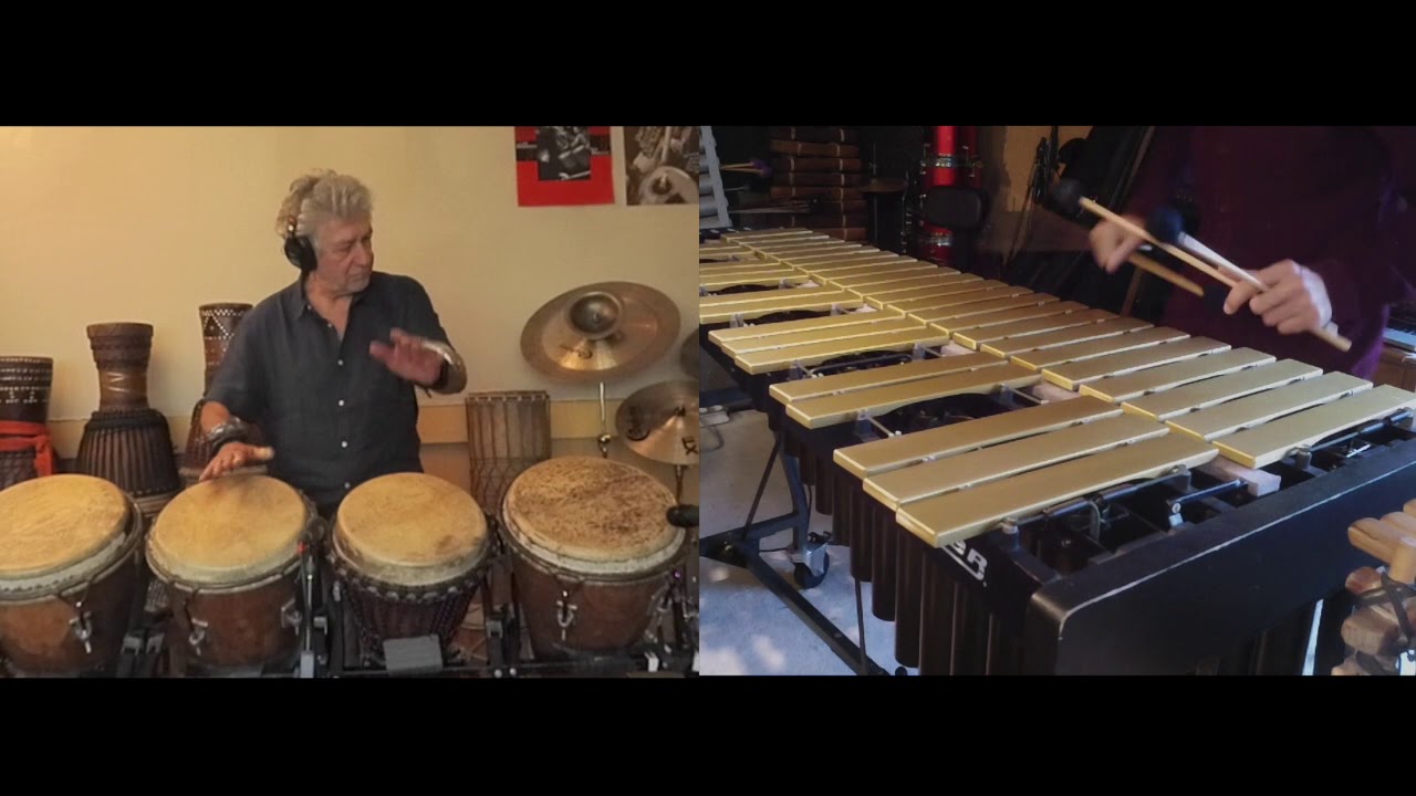 Jurassic Music - David Patrois / Pierre Marcault Duo