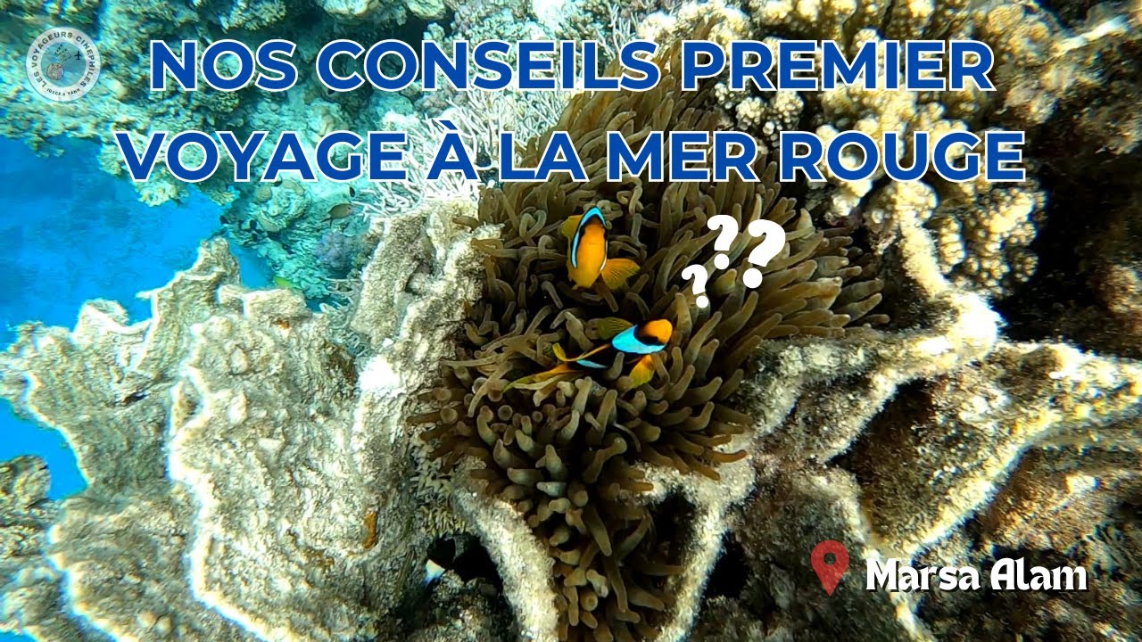 10 choses à savoir pour un premier voyage à Marsa Alam ou Hurghada (Egypte, Mer Rouge) 🇪🇬🐠🐬🌊