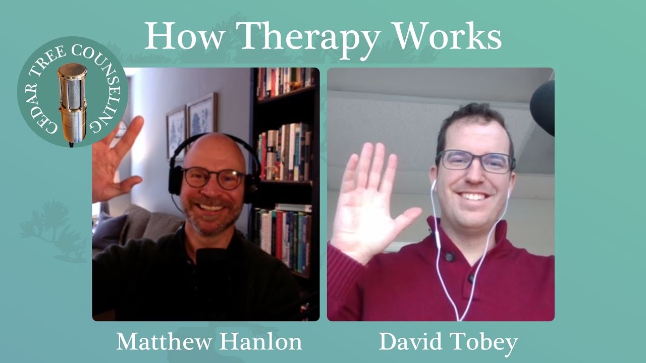 How Therapy Works with David Tobey