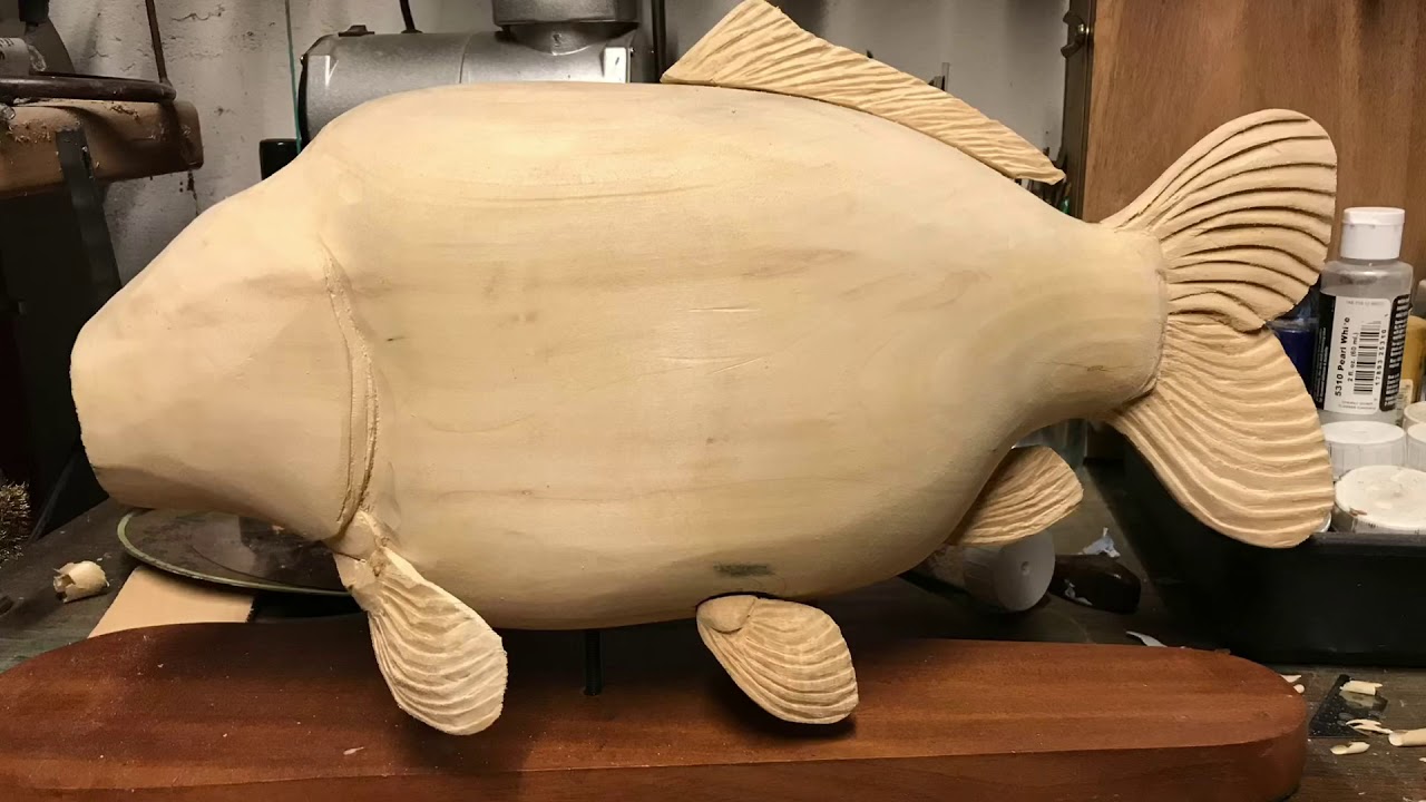 Big plated carp