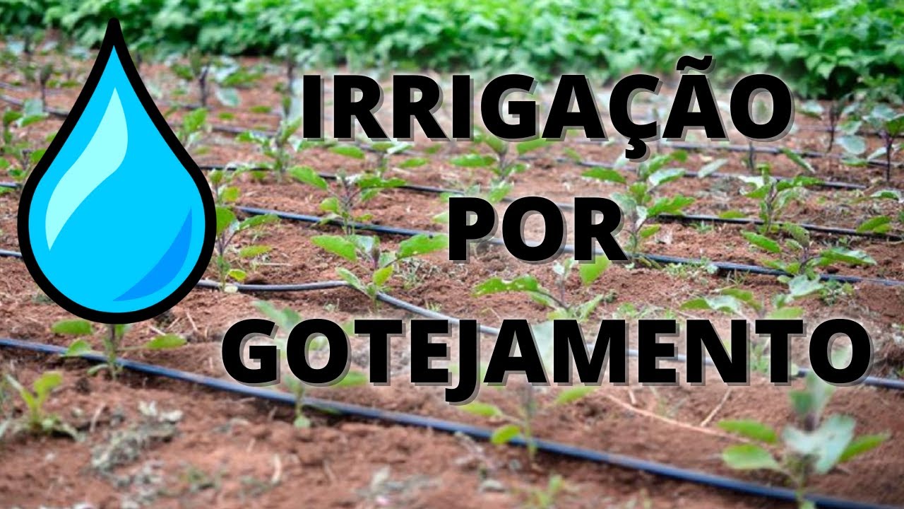 COMO FAZER IRRIGAÇÃO POR GOTEJAMENTO [FÁCIL E BARATO] POR GRAVIDADE