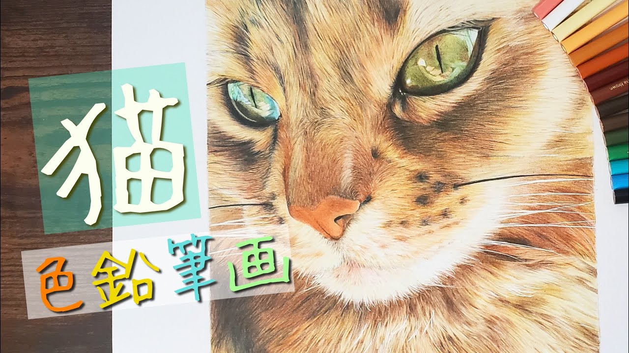 【色鉛筆画】猫　メイキング