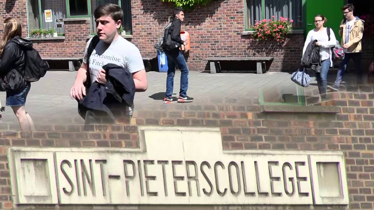 Le bilinguisme à l'école - Reportage TV #5