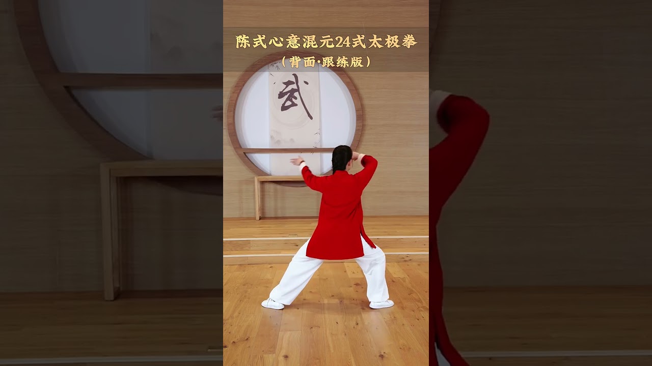 陳式心意混元24式太極拳（反面）完整版 视频演练