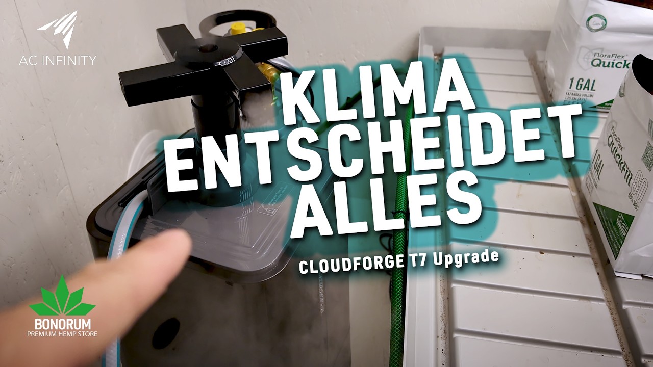 Klima entscheidet alles &ndash; mein Wechsel zum AC Infinity Cloudforge T7 (T3 vs T7 + Unboxing)