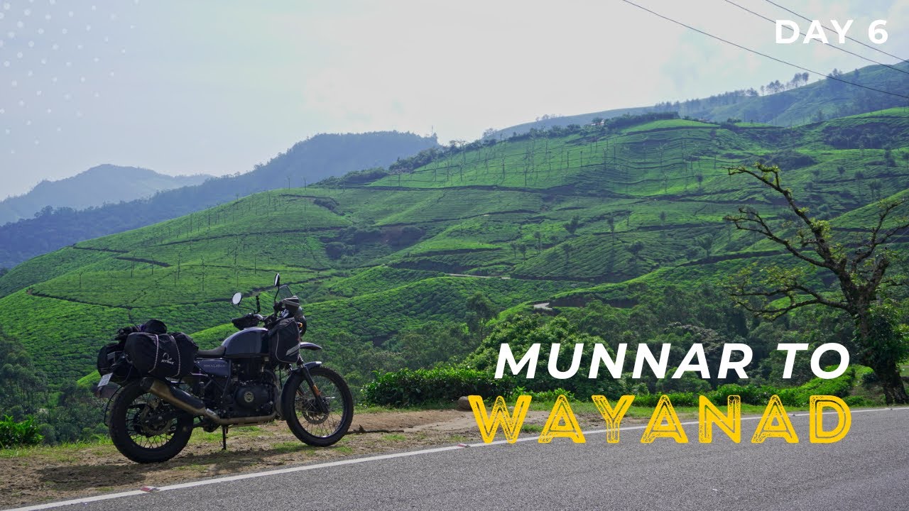 WAYANAD ROAD TRIP | Munnar to Wayanad Solo Ride | Day 6 | Kerala Travel Vlog