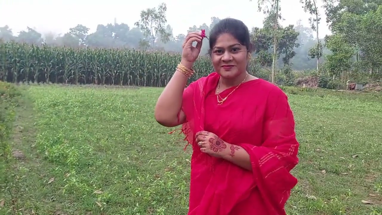 মন ভালো করার চেষ্টা করলাম।