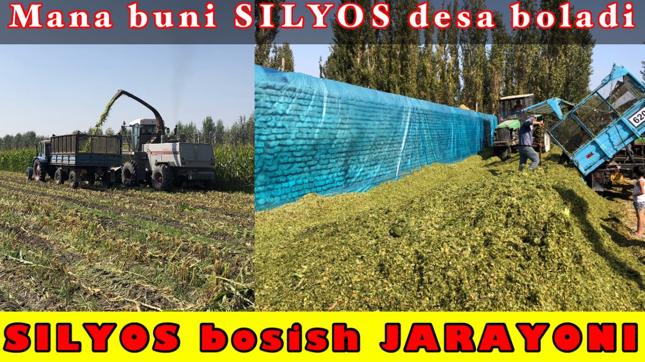 SILYOS bosishni bilmayabsizmi? Mana SILYOS bosish.