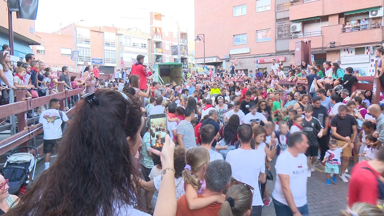 La trashumancia infantil se llena de familias para acompañar a las reses por las calles de Sanse