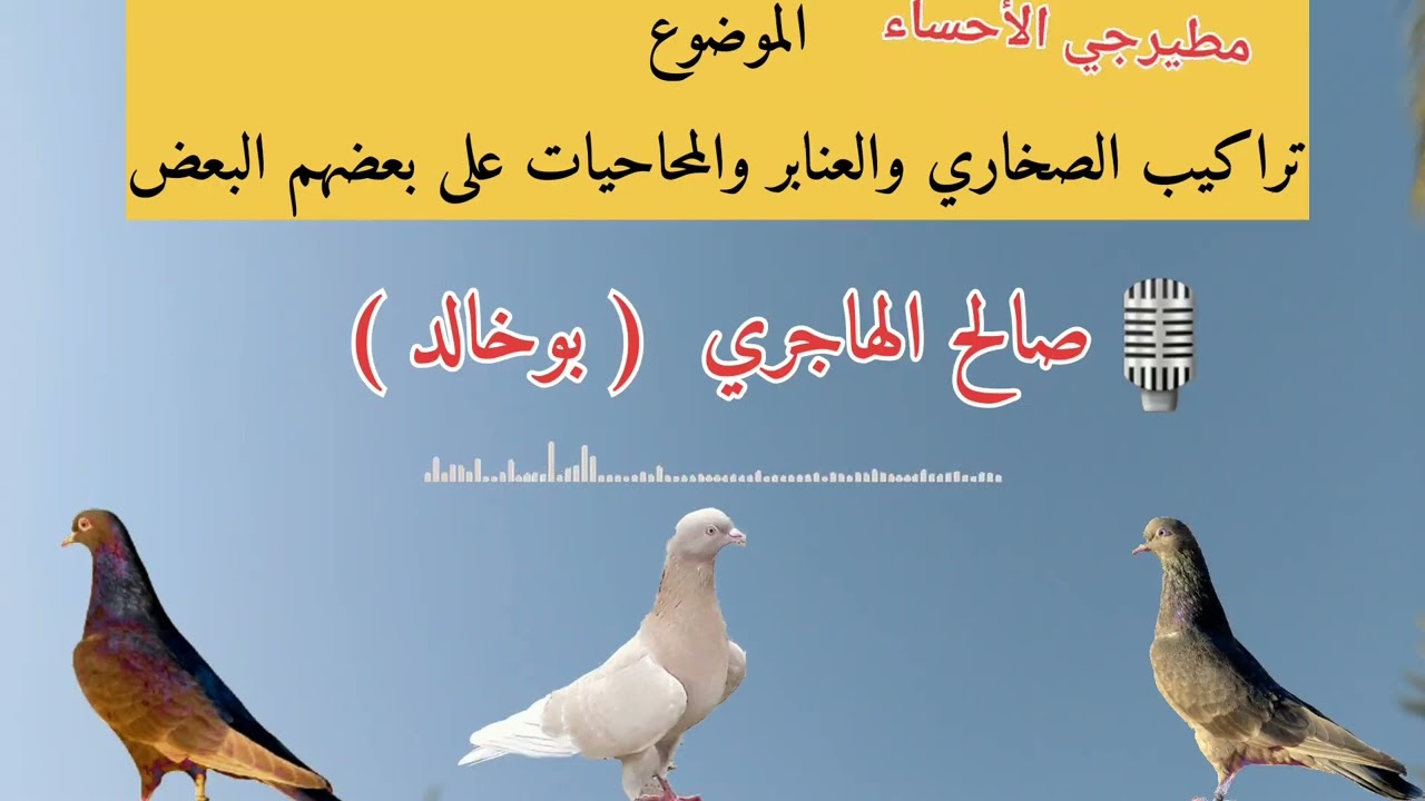 تراكيب (الصخاري والعنابر والمحاحيات) على بعضهم البعض | بوخالد الهاجري
