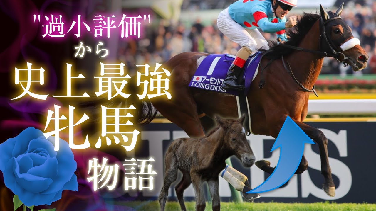 アーモンドアイの驚愕の物語！【徹底解説】弱々しい過小評価から史上最強牝馬[競馬]【JRA】アーモンドアイ（ハイライト・逸話・名勝負・全レース）