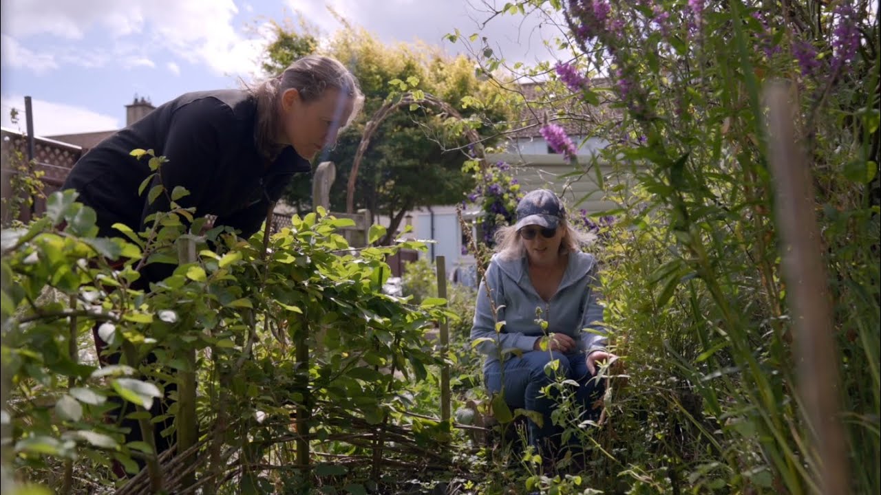 What is Gardening for Bats?