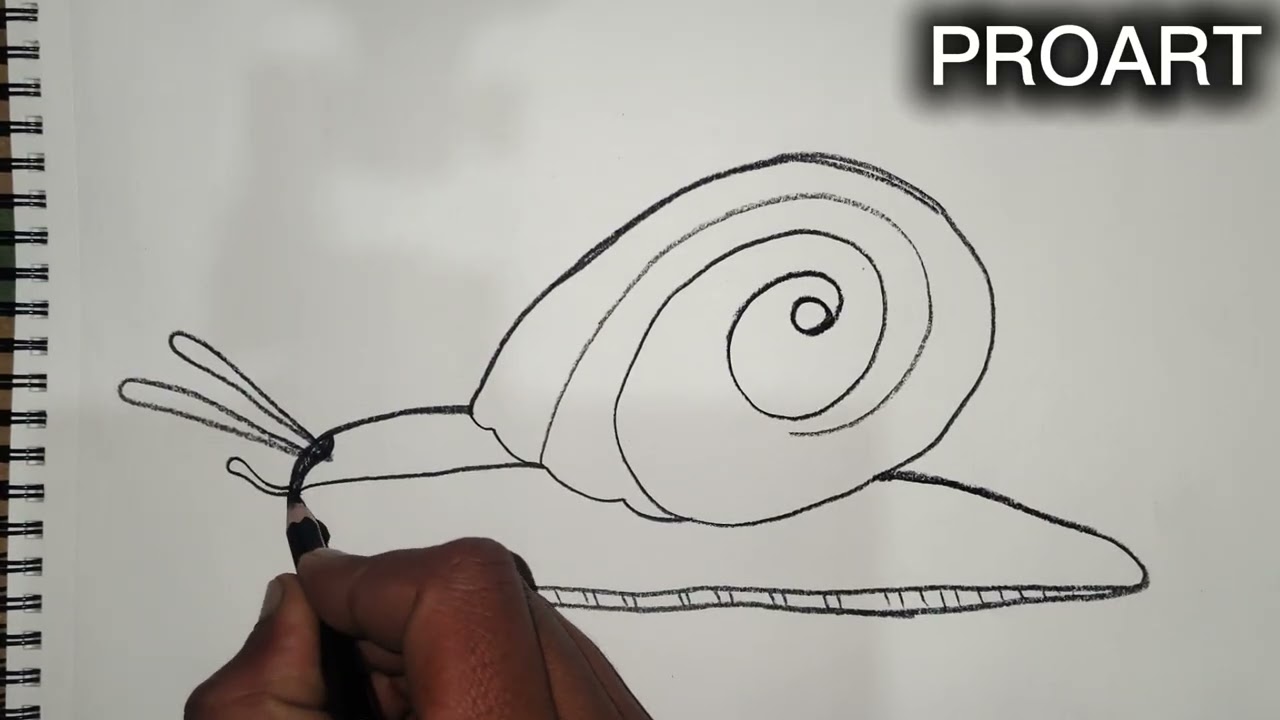 Snail drawing with pencil for beginners, drawing banane k tricks for new learner. @Drawblogs 