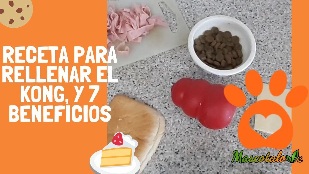 Receta para rellenar el famoso juguete para perros Kong, y 7 beneficios.
