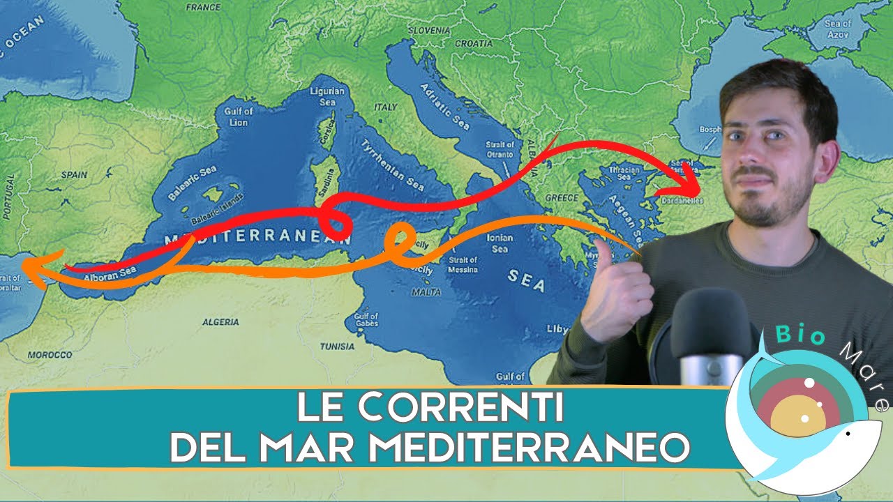 MAR MEDITERRANEO IN CONTINUO MOVIMENTO: LE CORRENTI - BIOMARE #41- SUB H2O