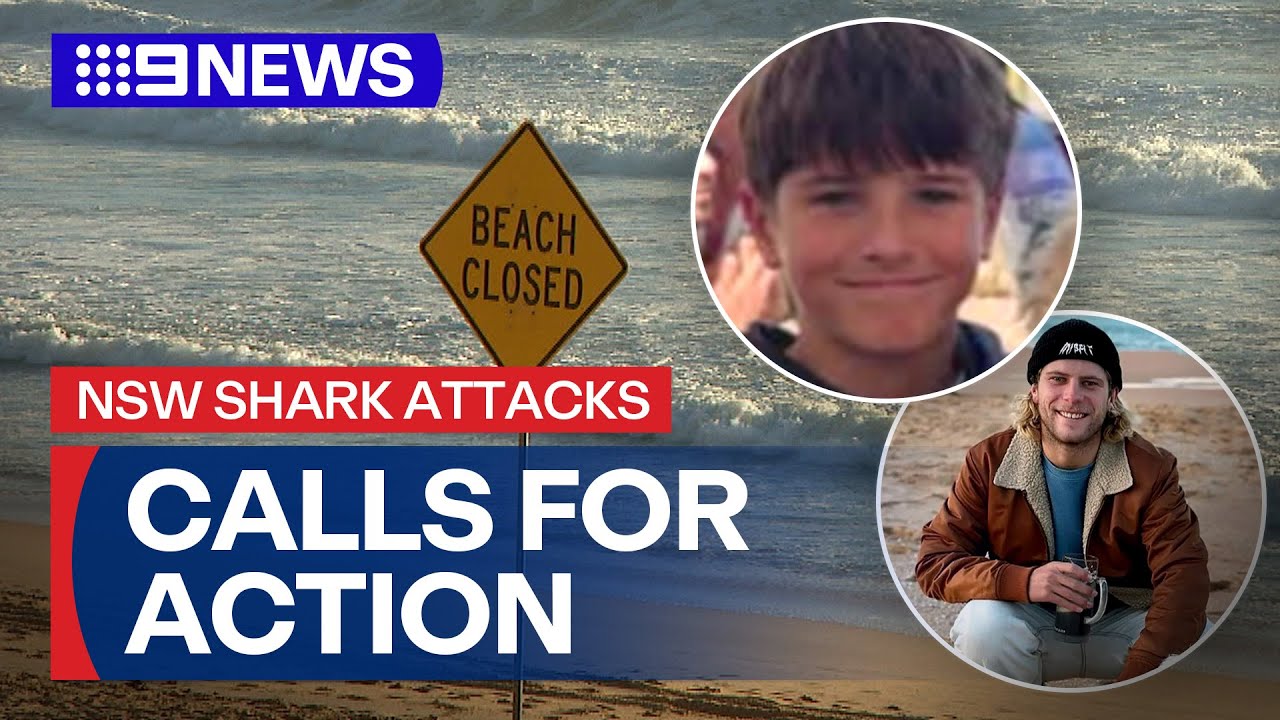 NSW government firm on shark mitigation strategies | 9 News Australia