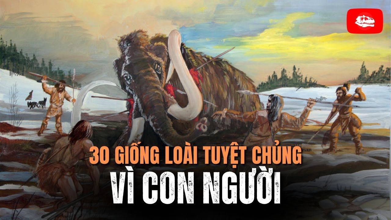 30 giống loài động vật tiêu biểu tuyệt chủng vì con người | Video tổng hợp
