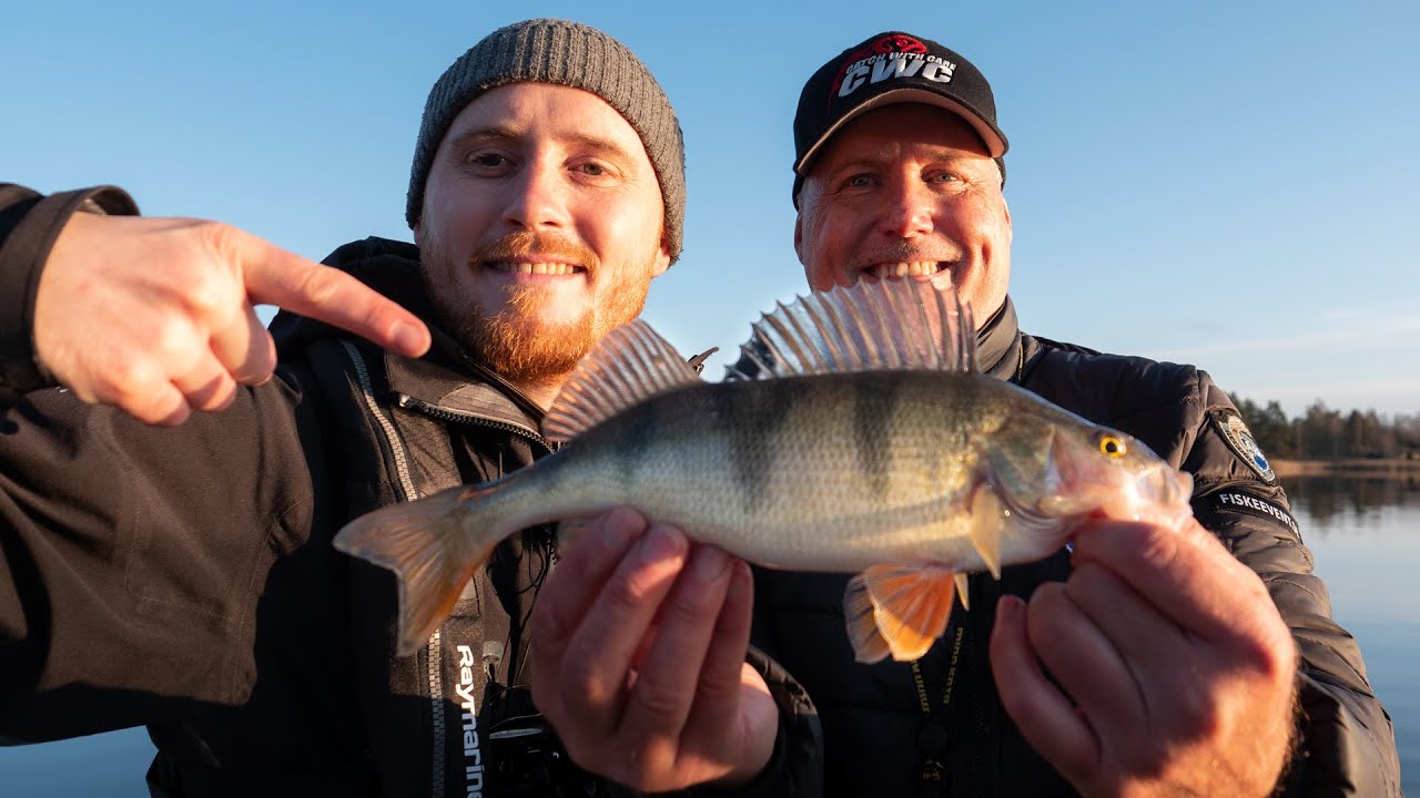 Abborrfiske i skärgården - hösttips från fiskeguiden