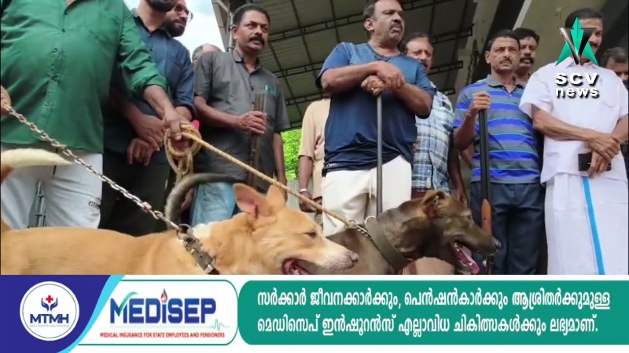 കാട്ടുപ്പന്നികളെ വെടിവെച്ച് കൊല്ലുന്ന ദൗത്യത്തിനിടെ ഷൂട്ടർക്ക് നേരെ കാട്ടുപന്നിയുടെ ആക്രമണം