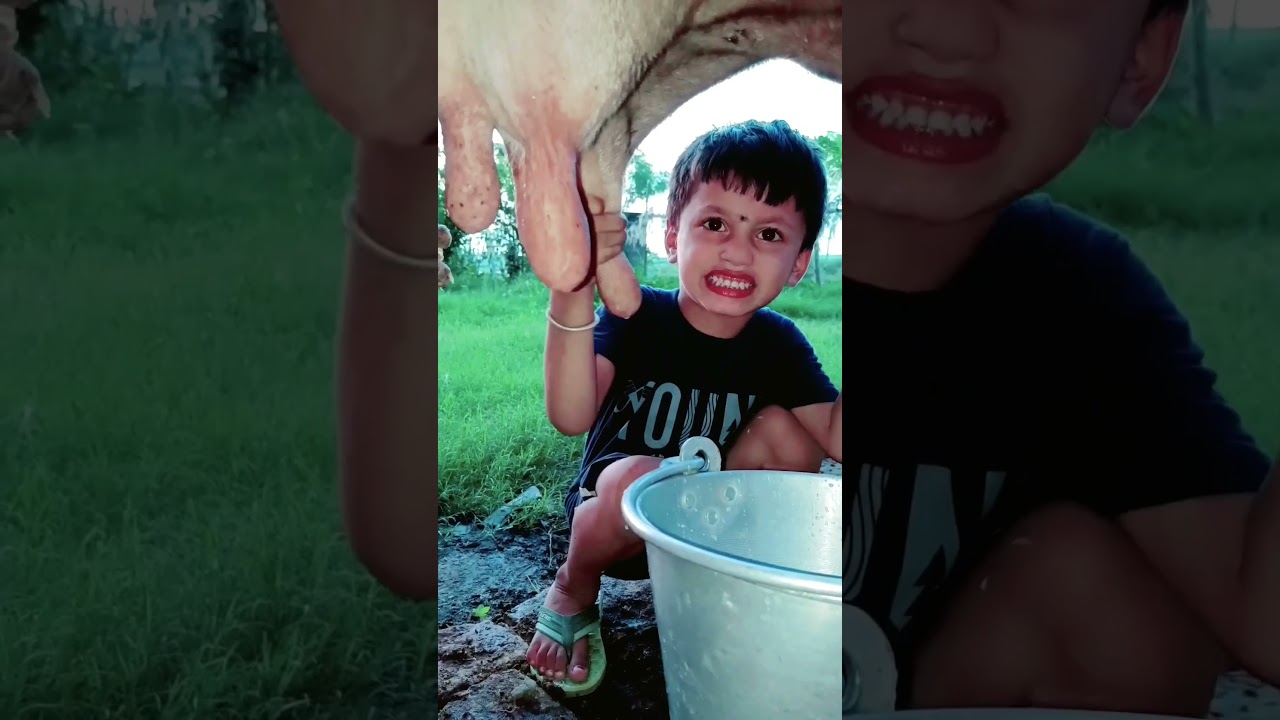 choti choti gaiya ttt #song #love #cow